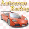 Autocross Racing icon