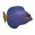 More Info about Big Kahuna Reef Game