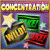 More Info about Concentration Game