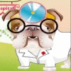 Dr.Bulldog's Pets Hospital icon