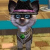 Fluffy Kittens icon