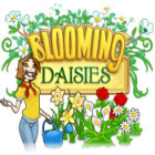 Blooming Daisies game Blooming Daisies game