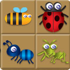 Bug Box game