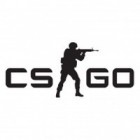 Counter-Strike: Global Offensive game Counter-Strike: Global Offensive game