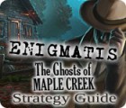 Enigmatis: The Ghosts of Maple Creek Strategy Guide game