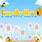 Find My Hive game