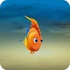 Fishdom 3 Collector's Edition game Fishdom 3 Collector's Edition game