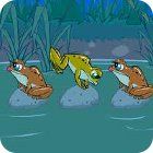 Frog Tag game Frog Tag game
