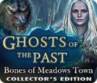Ghosts of the Past: Bones of Meadows Town Collector's Edition game Ghosts of the Past: Bones of Meadows Town Collector's Edition game