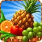 Gourmania 3: Zoo Zoom game