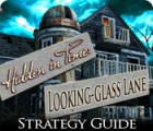Hidden in Time: Looking-glass Lane Strategy Guide game