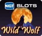 IGT Slots Wild Wolf game IGT Slots Wild Wolf game
