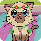 Kitty Championship game Kitty Championship game