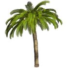 Lost Island Adventure game Lost Island Adventure game