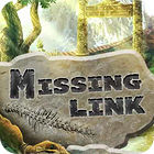 The Missing Link game The Missing Link game
