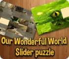 Our Wonderful World game Our Wonderful World game