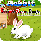 Rabbit Escape From Eagle game Rabbit Escape From Eagle game