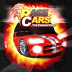 Race Cars The Extreme Rally game