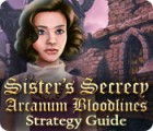 Sister's Secrecy: Arcanum Bloodlines Strategy Guide game