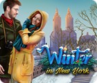 Winter in New York game