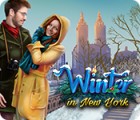 Winter in New York game Winter in New York game