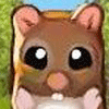 Hamsters icon