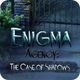 Enigma Agency: The Case of Shadows Collector's Edition Game