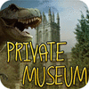 Private Museum game