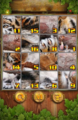 Puzzle Tag Screenshot 2