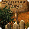 Summer Days game