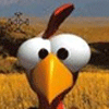 Moorhuhn icon