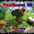 More Info about PacQuest 3D Game