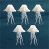 Sea Bubbles icon