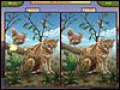 Free download World Riddles: Animals screenshot 1