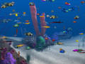 Free Download Big Kahuna Reef Game