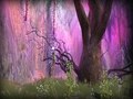 Free download Dhaila's Adventures screenshot 3