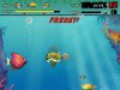 Free Download Feeding Frenzy Game