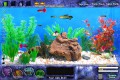 Free download Fish Tycoon screenshot 2