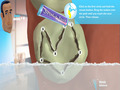 Free download Glenn Martin, DDS: Dental Adventure screenshot 3