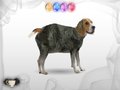 Free download Harry Potter: Transfiguration screenshot 3
