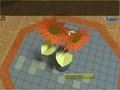 Free download Honeymoon Secret screenshot 2