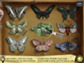 Free download I SPY Spooky Mansion screenshot 2