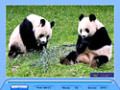 Free download Jig Swap Puzzle screenshot 1