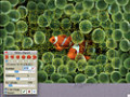 Free download Jigsaws Galore screenshot 3