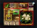 Free download Mystery of the Earl Strategy Guide screenshot 2