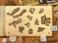 Free download Paradise Quest screenshot 2