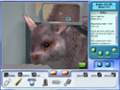 Free download Pet Pals: New Leash on Life screenshot 1
