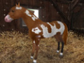Free download Planet Horse screenshot 3