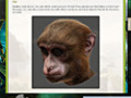 Free download Return to Mysterious Island 2: Mina's Fate Strategy Guide screenshot 2