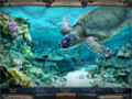 Free download Vacation Quest: The Hawaiian Islands screenshot 2